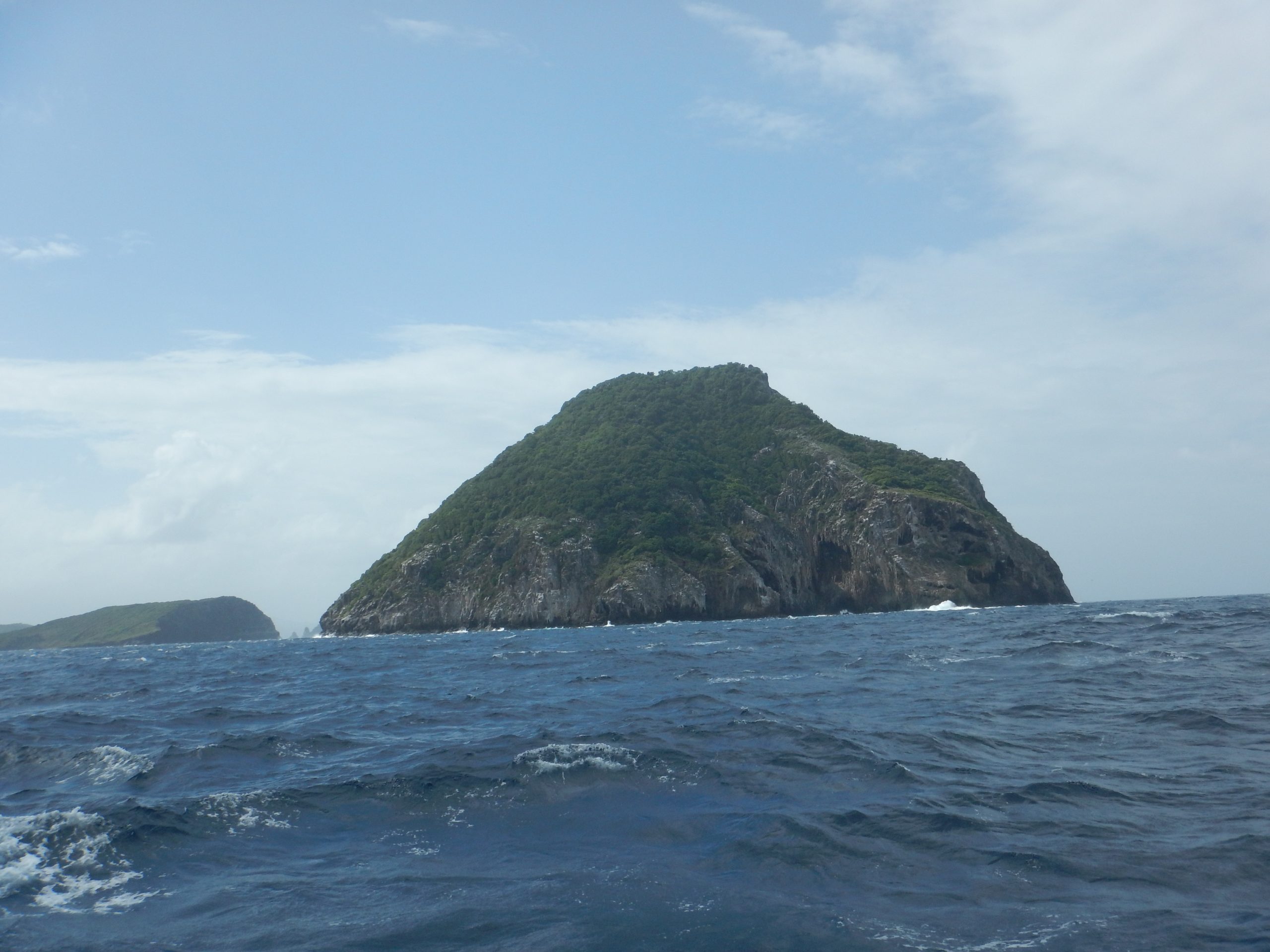 DSCN0876