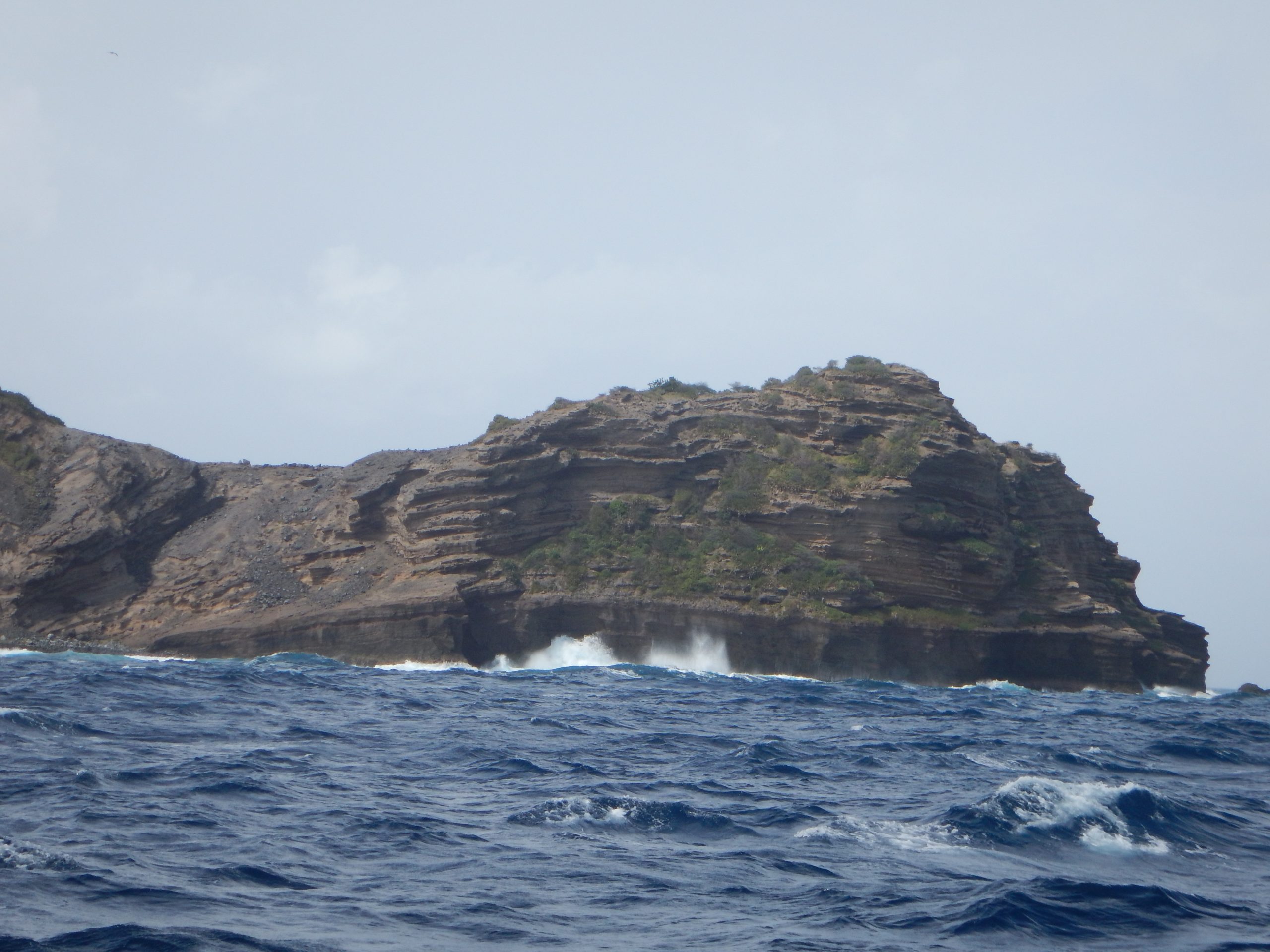 DSCN0881